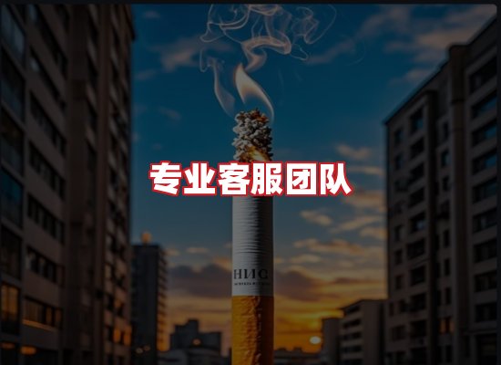 专业团队